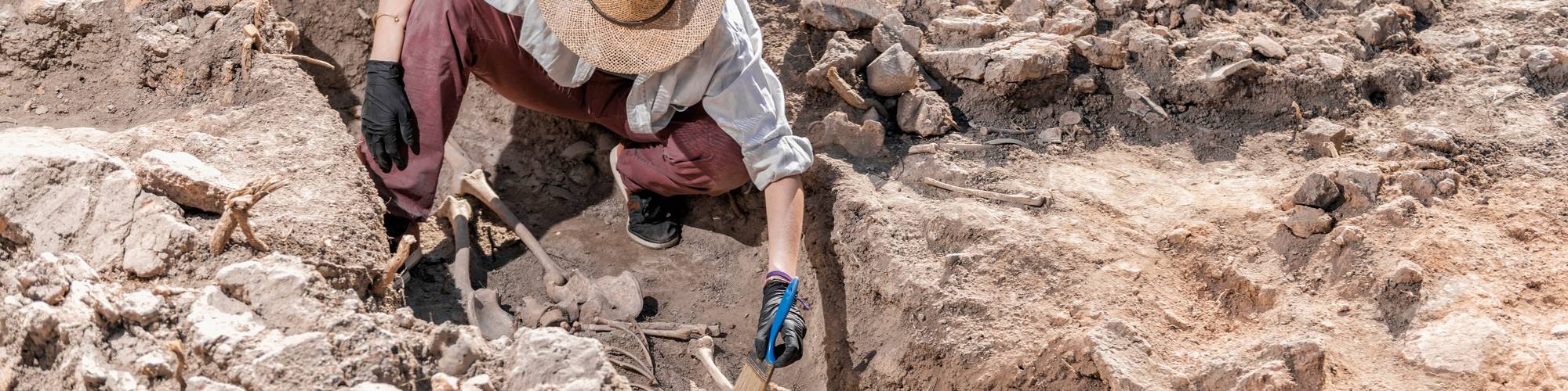 Arqueología y Prehistoria «Julián San Valero Aparisi»